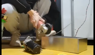dly的快乐